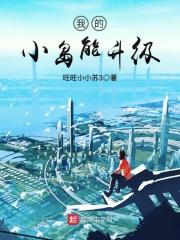 我的小岛攻略