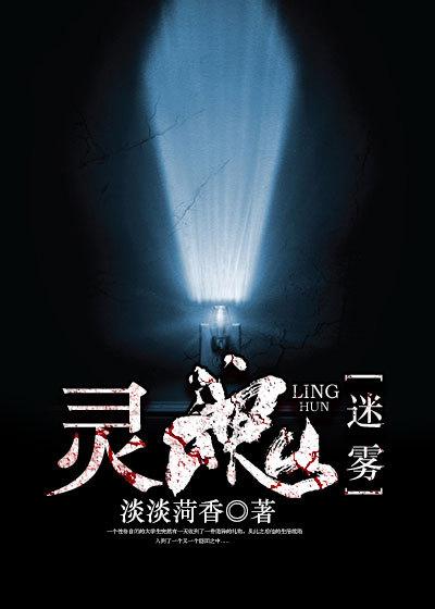 灵魂迷雾电视剧免费观看全集16集