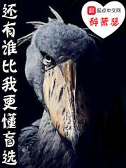 谁比我还懂你