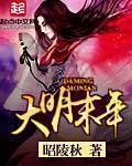 大明末年名将
