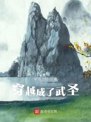 穿越成为武魂殿圣子