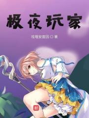 极夜玩家百科