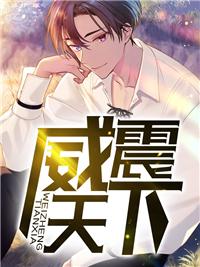 齐天临夏白微是那个电子书主人公