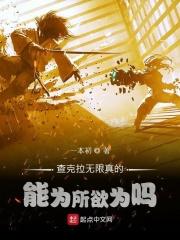 查克拉是啥