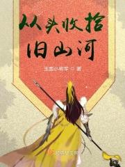 待从头收拾旧山河的意思