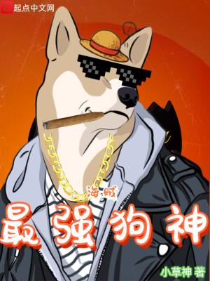 海贼之最强赌狗