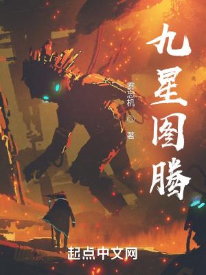 九星象义视频