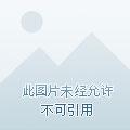 女子律师楼免费阅读