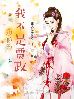 红楼之我不是贾政TXT