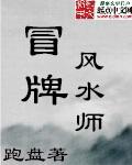 冒牌风水师血儿作品
