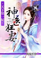 天下第一妃 神医狂妻
