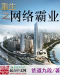 重生之网络霸业 聚合中文网