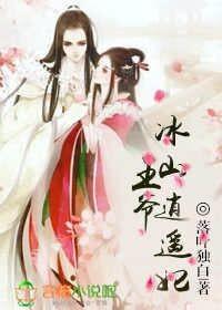 冰山王爷的穿越妃