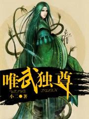 魔兽rpg唯武独尊攻略
