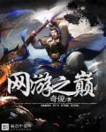 网游之巅峰传说 八二