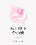 天上掉下个小妖精