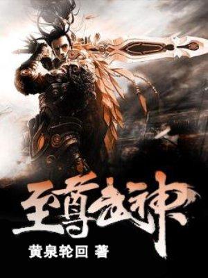至尊武神全集