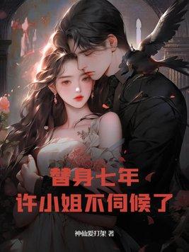 替身不替心许念沈