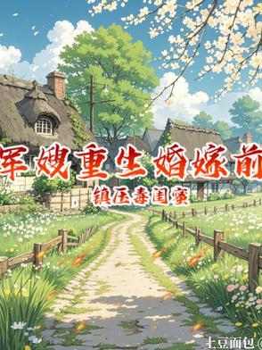 军嫂重生前世军少独守婚房