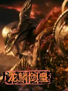 龙鳞利剑层数