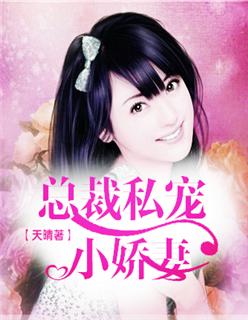 总裁私宠小娇妻 第93章
