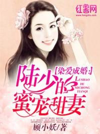 陆少蜜宠替嫁妻全文免费阅读