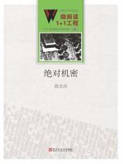 电视剧绝对秘密剧情