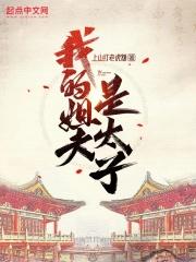 我的姐夫是太子张安世