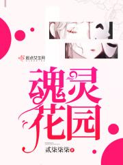 灵魂乐园
