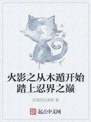 火影之木遁打天下
