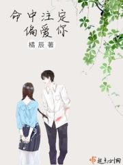 命中注定去爱你全文免费阅读