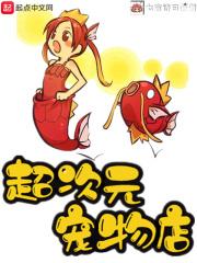 次元宠物店txt