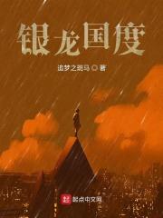 ida 银龙